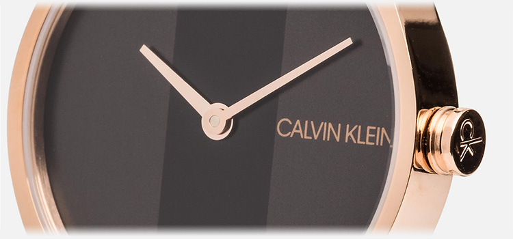 Calvin Klein Rebel Watch Closeup