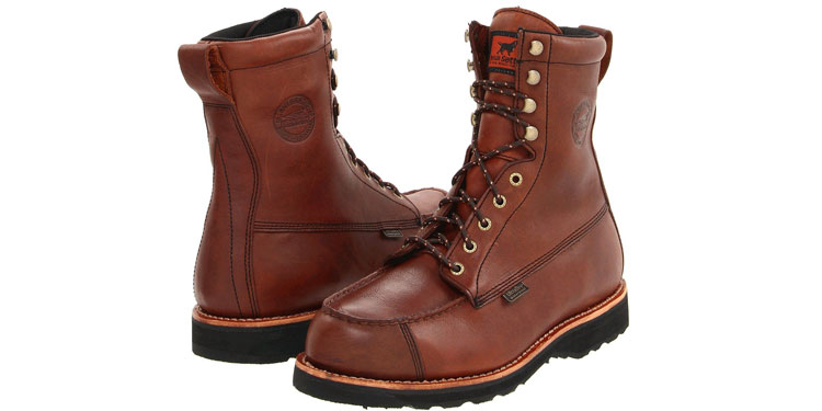 Irish Setter Wingshooter 808