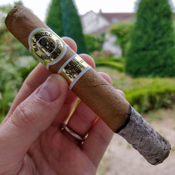 Macanudo Gold Leaf Cigar & Ash