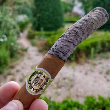 Macanudo Gold Leaf Cigar Final Third Notes