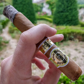 Macanudo Gold Leaf Cigar First Third Notes