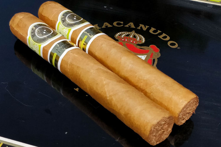 Macanudo Gold Leaf Cigar & Logo