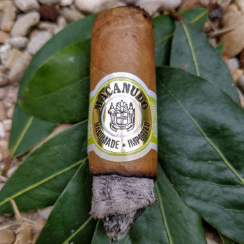 Macanudo Gold Leaf Cigar On Bay Leaves