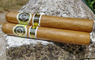 Macanudo Gold Leaf Cigar On Stone Wall