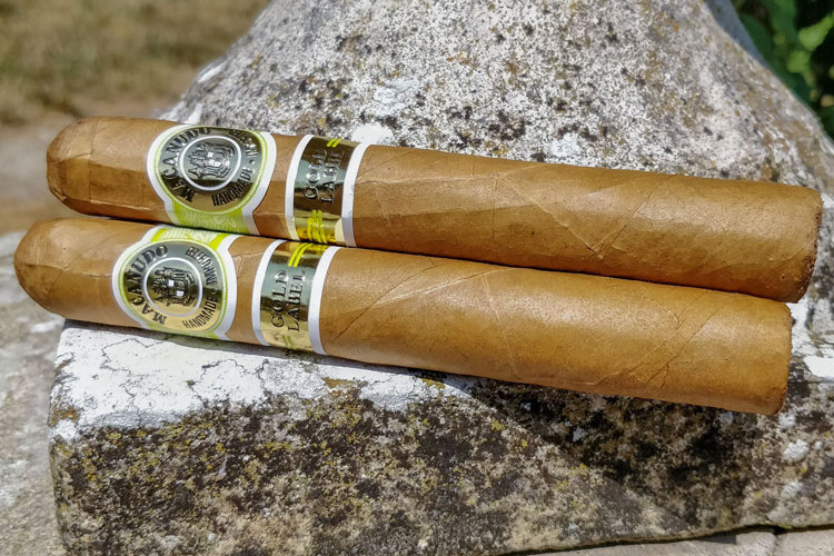 Macanudo Gold Leaf Cigar On Stone Wall