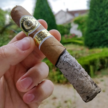 Macanudo Gold Leaf Cigar Second Third Notes