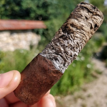 Nub Double Maduro Cigar & Ash Stack