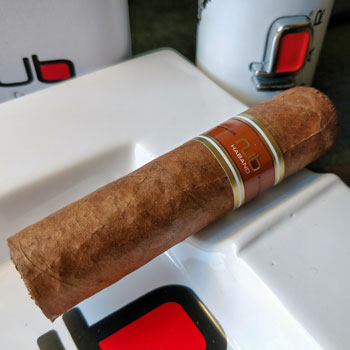 Nub Habano Cigar In Branded Ash Tray