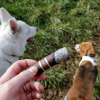 Nub Maduro Cigar & Dogs