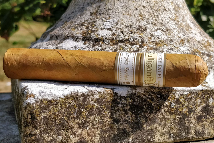 Rocky Patel Mulligans Trophy Series Cigar On Stone Wall