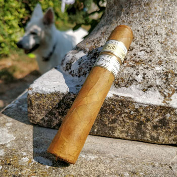 Rocky Patel Mulligans Trophy Series Cigar On Wall