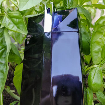 Mugler Alien Man Bottle In Basil Bush