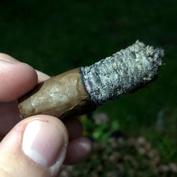 Arturo Fuente Hemingway Short Story Cigar Final Third