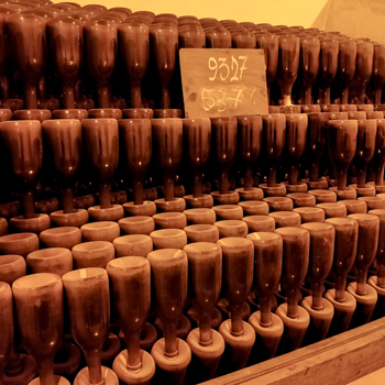 Canard Duchêne Champagne Library