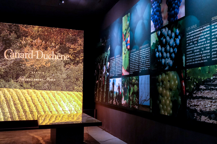 Canard Duchêne Tour Introduction