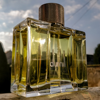 Dunhill 53.1 N Cologne Backlit