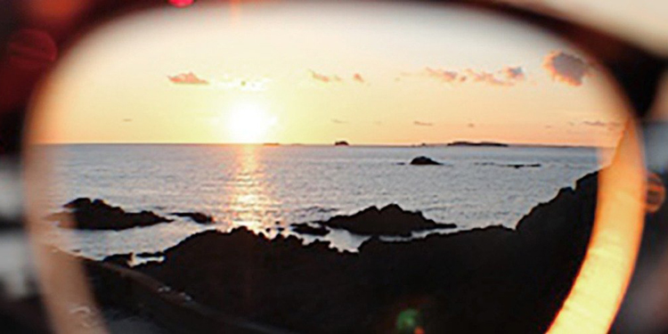 Glasses Gallery Single Vision Glasses