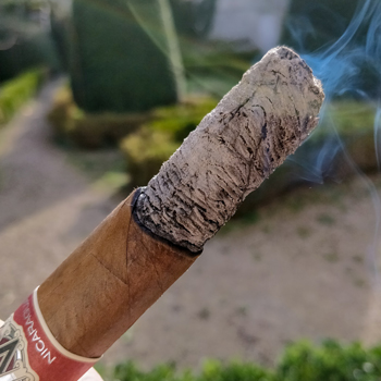 Avo Syncro Nicaragua 30th Anniversary Cigar Ash Stack