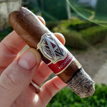 Avo Syncro Nicaragua 30th Anniversary Cigar Final Third