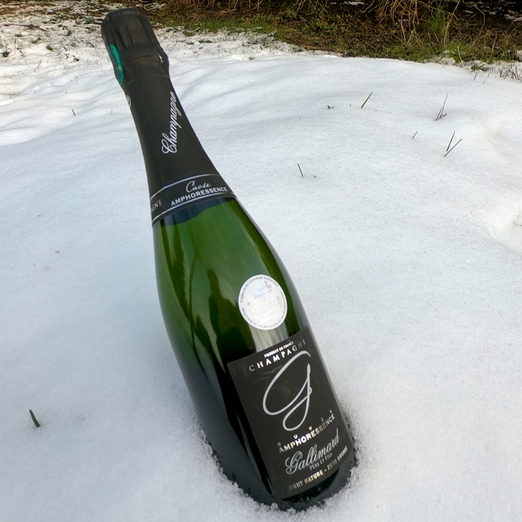 Champagne Gallimard Amphoressence Extra Brut In Snow