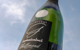 Champagne Gallimard Amphoressence Extra Brut Sky Background