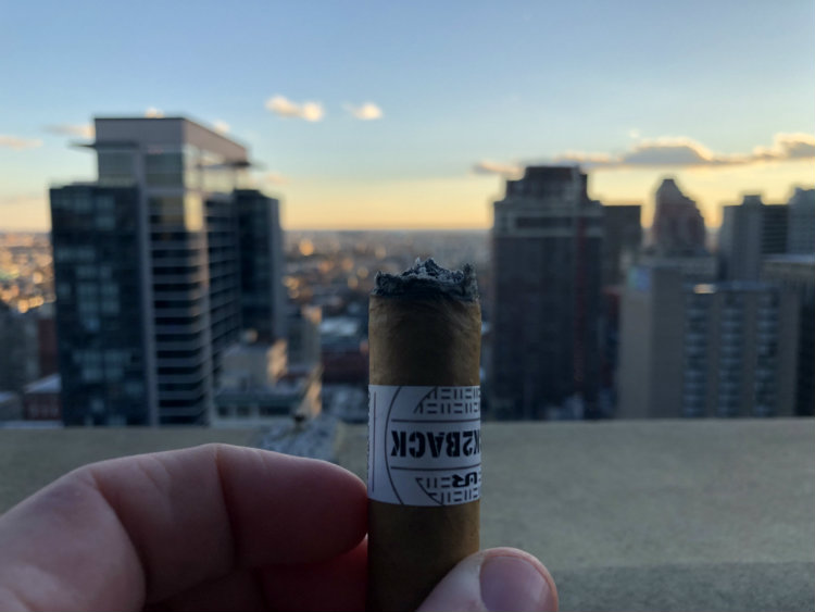 Even burn of Back2Back Cigar