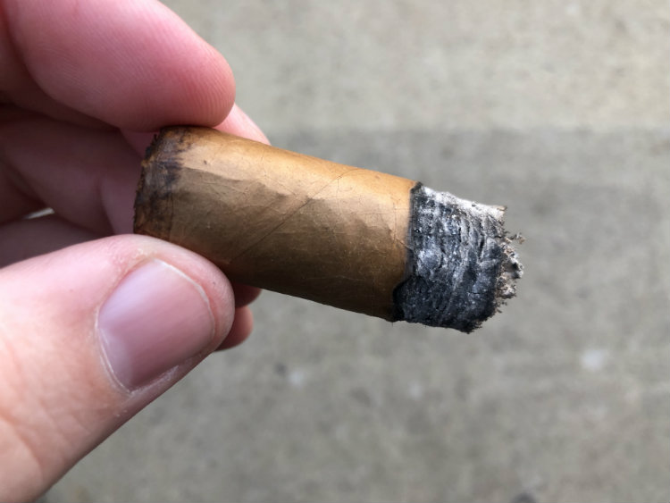 Final Third Of Back2Back Cigar