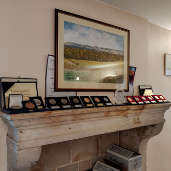 Gallimard Champagne Award Medals