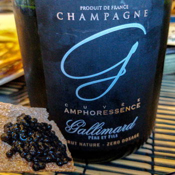 Gallimard Amphoressence Champagne Sheet Review