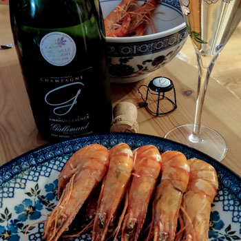 Champagne Gallimard Amphoressence & Gambas