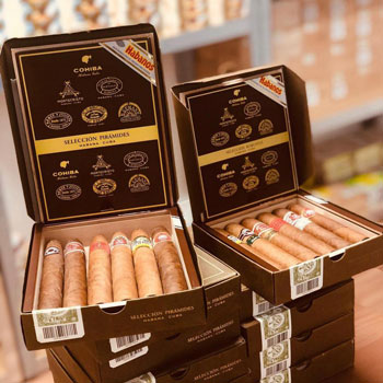 Montefortuna Cigars Seleccion Piramides de Habanos Cuban Cigars