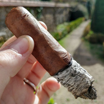 Cain Daytona Cigar Final Third