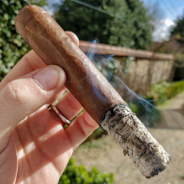 Cain Habano Ligero Cigar Lon Ash