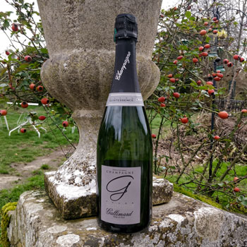 Gallimard Quintessence Champagne Bottle