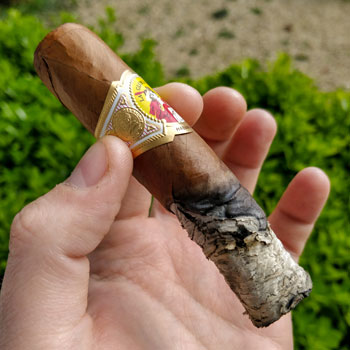 La Gloria Cubana Serie D No5 Cigar Ash