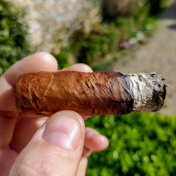 La Gloria Cubana Serie D No5 Cigar Final Third