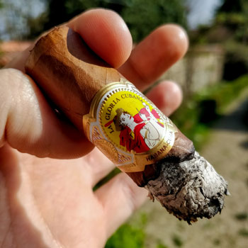 La Gloria Cubana Serie D No5 Cigar Second Third