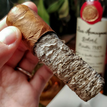 Nub Sumatra Long Ash Backbone