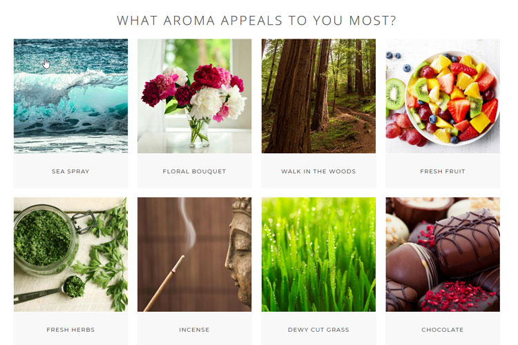 Scent Box Favourite Aroma Quiz