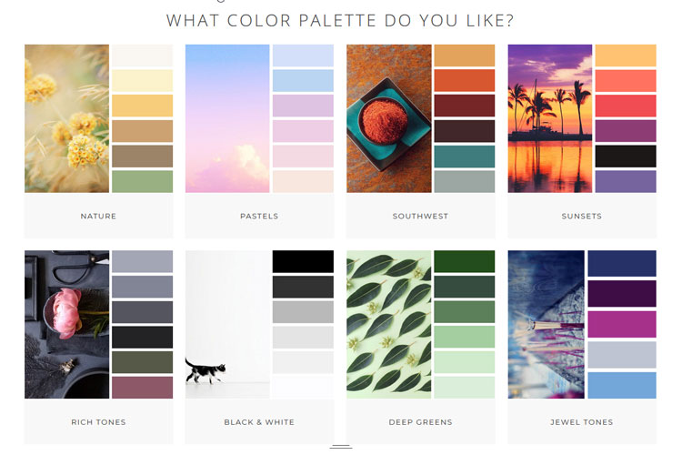 Scent Box Favourite Colour Palette