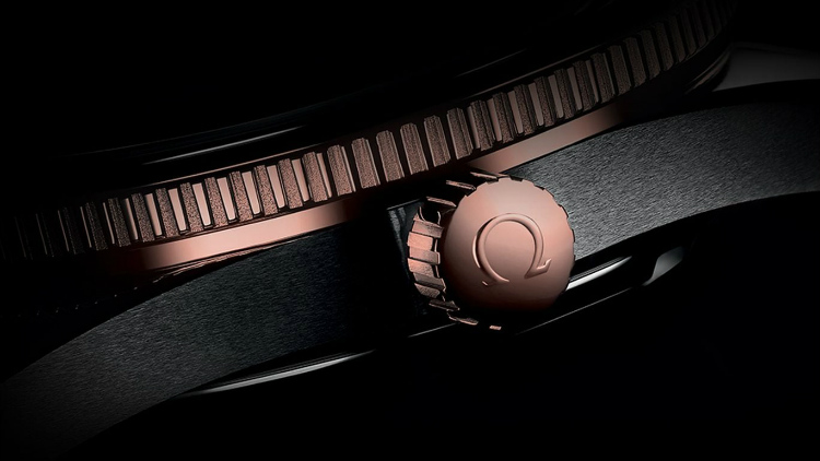 Omega Seamaster 300 Titanium With Sedna Gold Watch