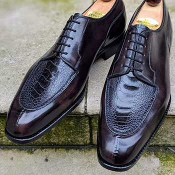 Ascot Shoes With Ostrich Leg Facings