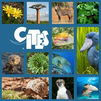 CITES Logo