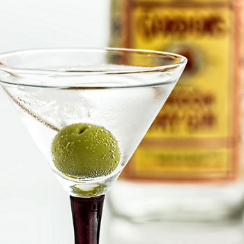 Classic Gin Martini Cocktail