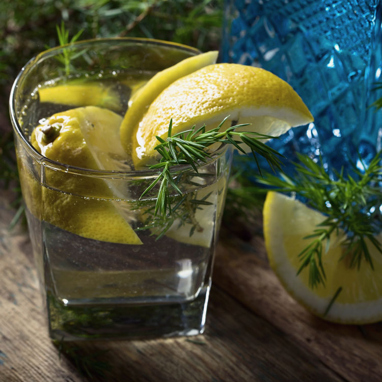 Gin & Tonic With Rosemary Featured