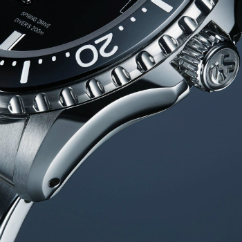 SBGA229 Case Finishing Details