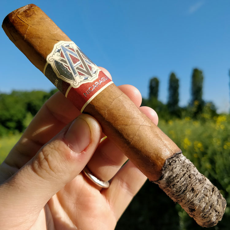 Avo Nicaragua Ash Burn