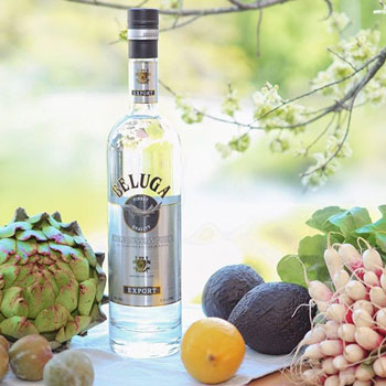 Beluga Russian Vodka Bottle