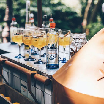 Damrak Gin Cocktails