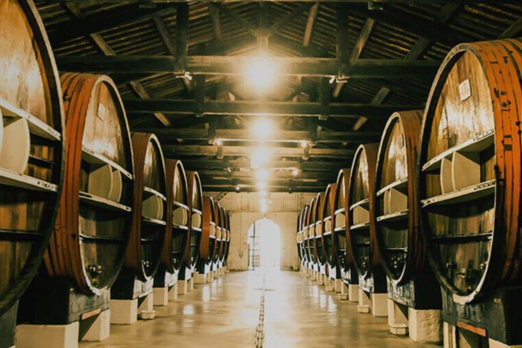 Noilly Prat Vermouth Barrels